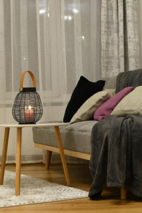 Ronu apartment in Libau